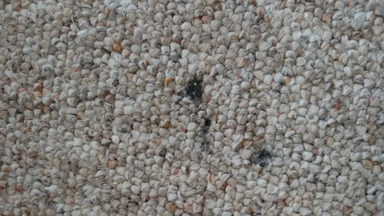 Burn on carpet