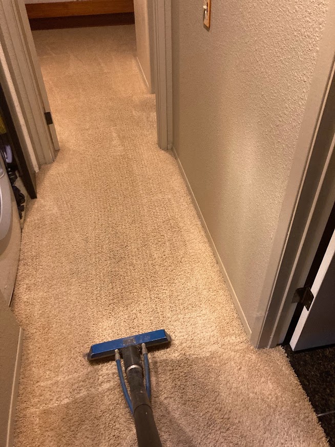 The same hallway carpet after cleaning, stains removed