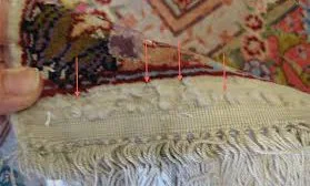 Carpet beetle Damage