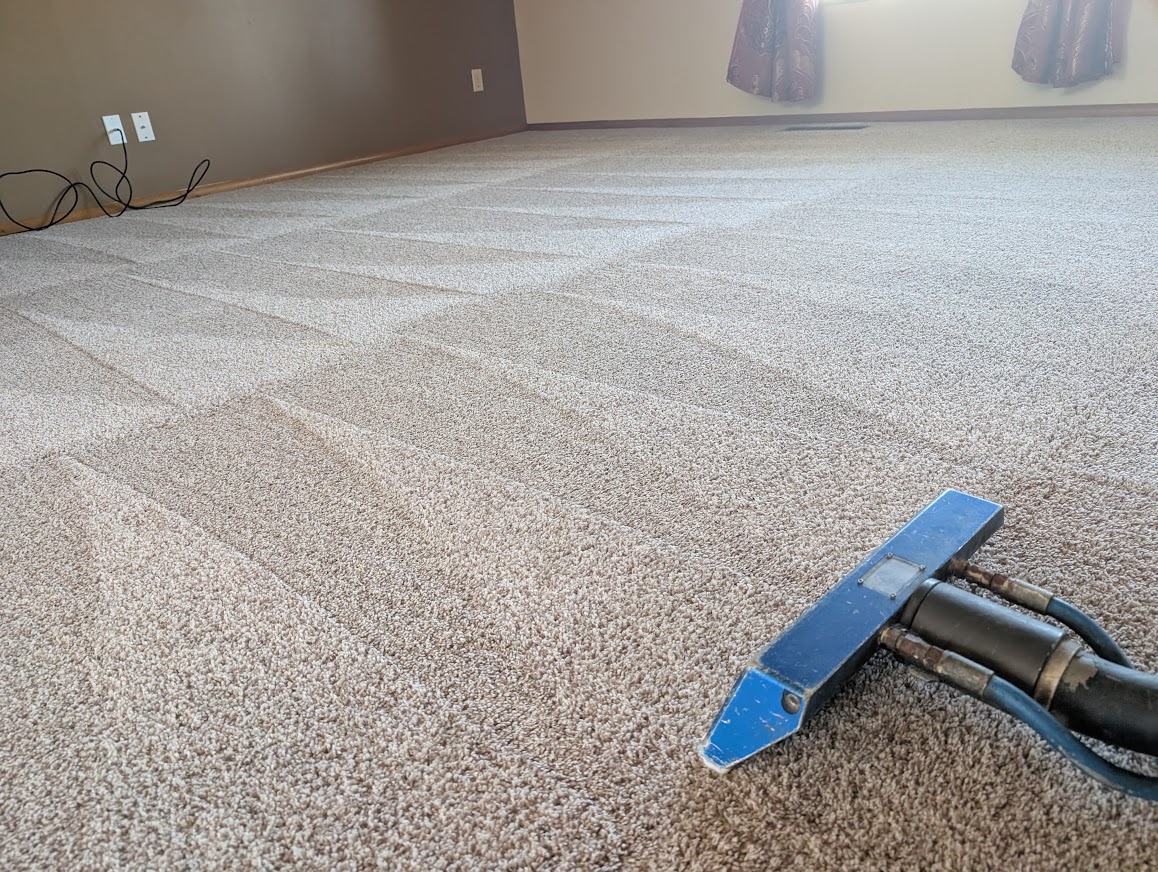 A freshly cleaned carpet across a wide living room