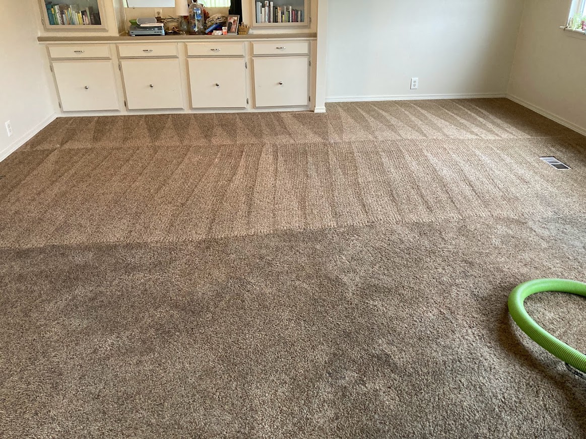 A family room carpet halfway through cleaning, showing the clean and dirty sections side by side