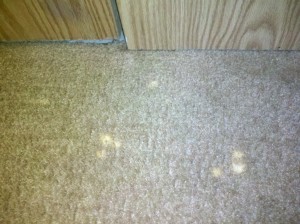 bleach spots