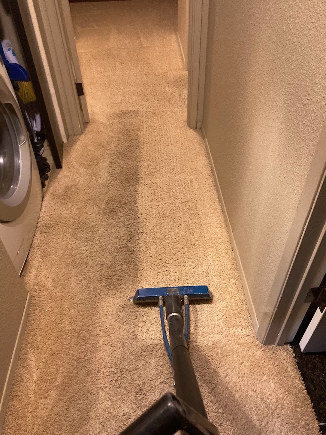 Traffic lane stains in a hallway carpet before cleaning