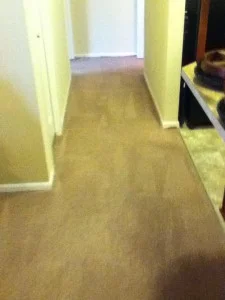 Water Damage Hallway After