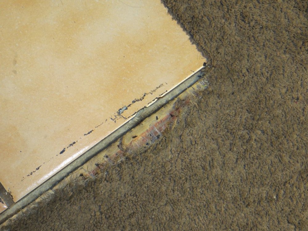 Carpet damage from cat